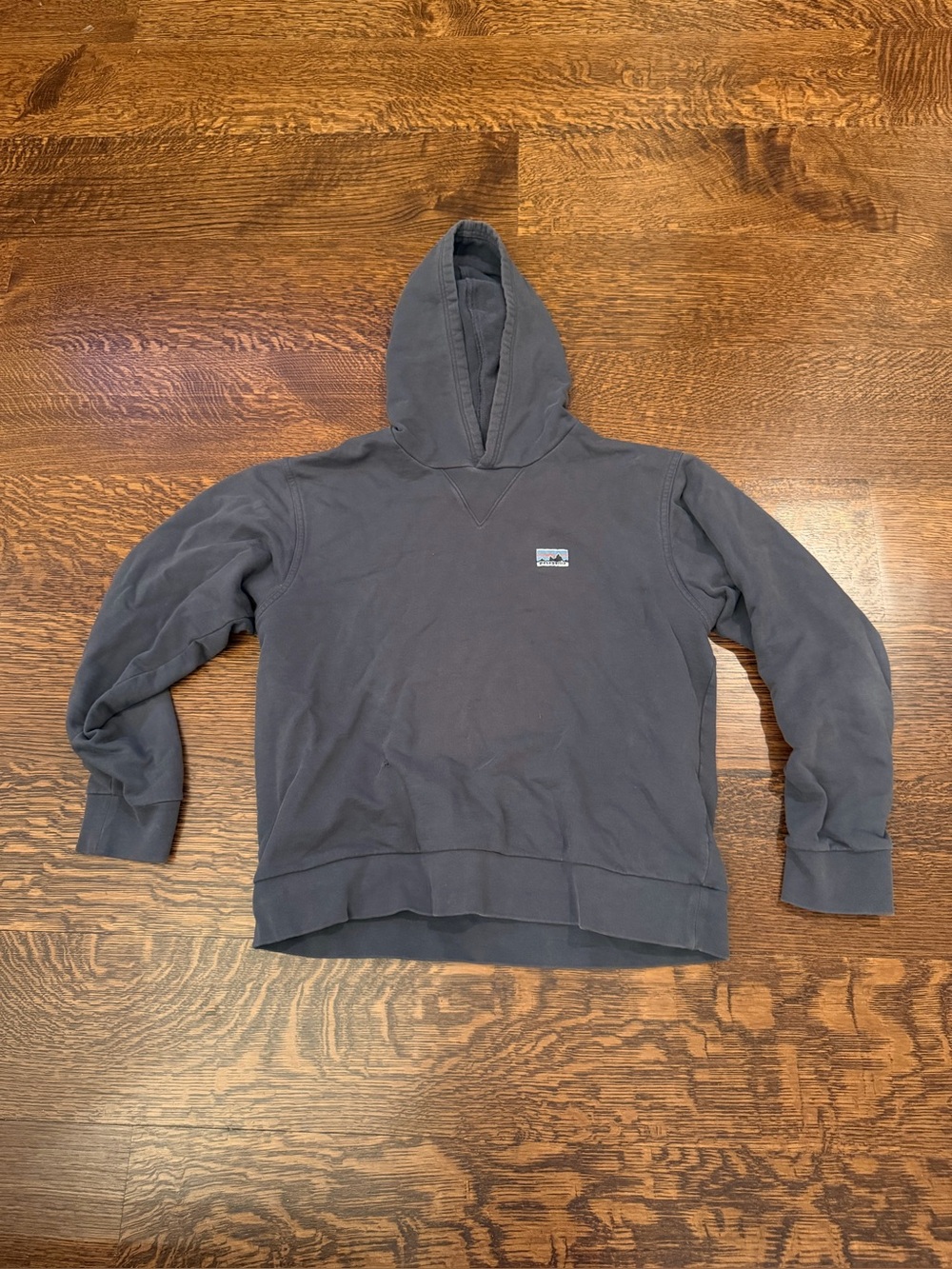 Patagonia Men's Hooded Pullover Sweatshirt - Charcoal